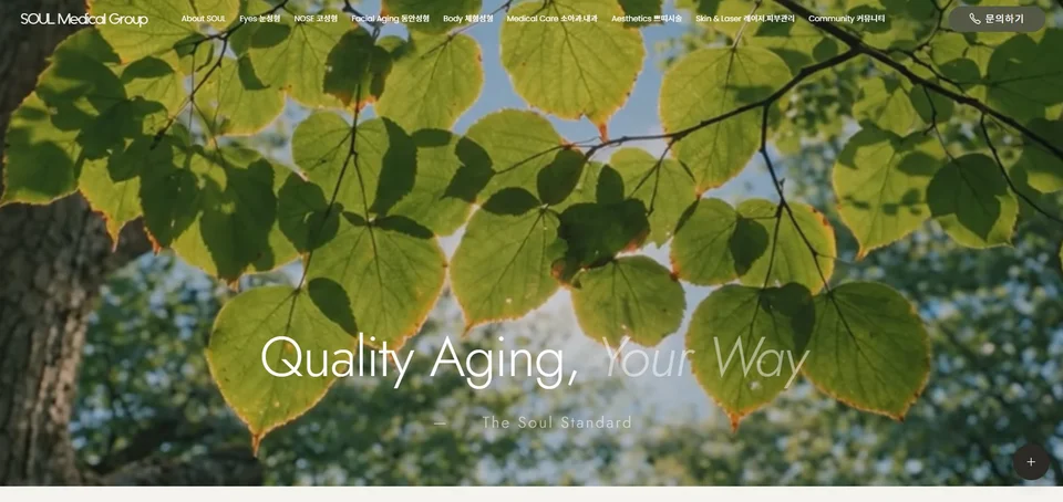 LogAgency (로그에이전시)가 제작한 쏘울성형외과 홈페이지 - Quality Aging 브랜드 리뉴얼 및 아임웹 48페이지 이전